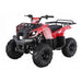 Tao Motor D125 125cc Youth ATV with Reverse — detail close-up