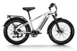 D5 (Zebra) / All-terrain Electric Fat Bike