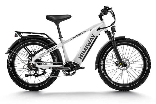 D5 (Zebra) / All-terrain Electric Fat Bike