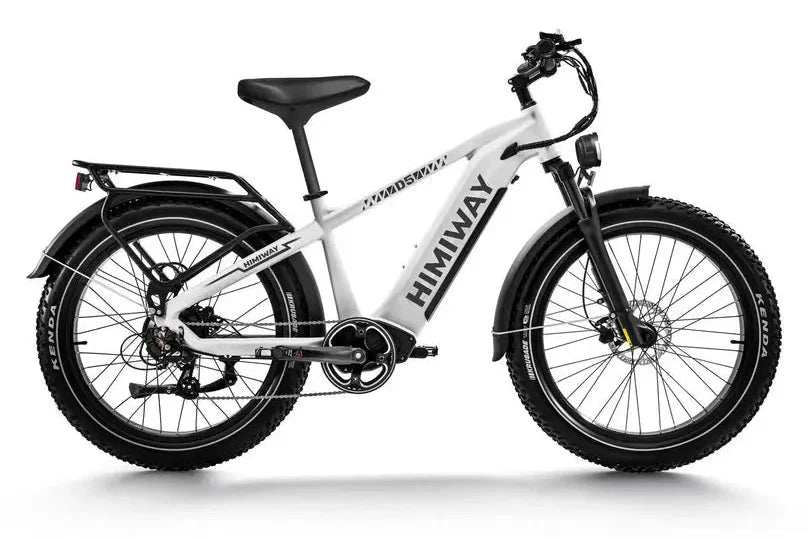 D5 (Zebra) / All-terrain Electric Fat Bike