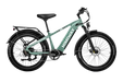 D5 (Zebra) / All-terrain Electric Fat Bike