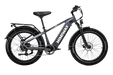 D5 (Zebra) / All-terrain Electric Fat Bike