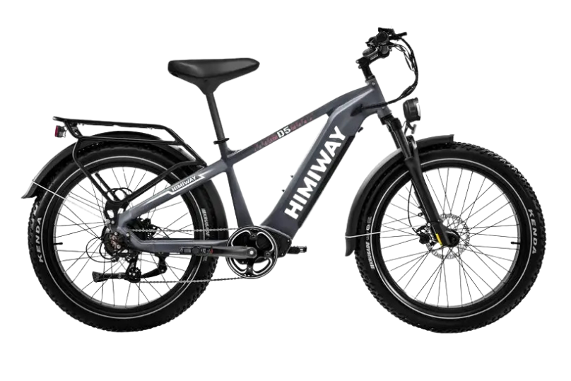 D5 (Zebra) / All-terrain Electric Fat Bike