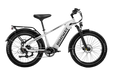 D5 (Zebra) / All-terrain Electric Fat Bike
