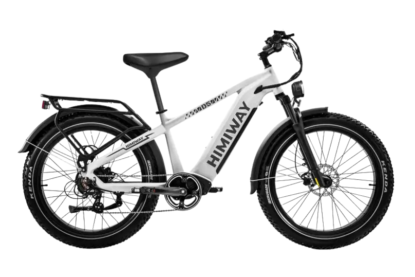 D5 (Zebra) / All-terrain Electric Fat Bike