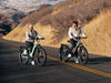 D5 (Zebra) / All-terrain Electric Fat Bike