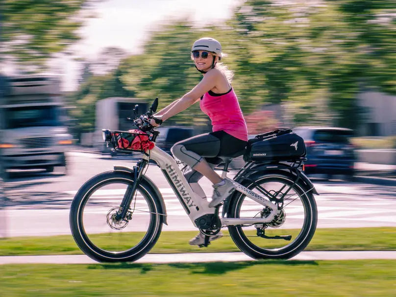 D5 (Zebra) / All-terrain Electric Fat Bike