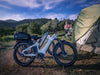 D5 (Zebra) / All-terrain Electric Fat Bike