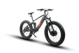 EUNORAU E-BIKE US DEFENDER-S — rear frame view