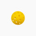 Yellow Lobster pickleball, indoor and outdoor