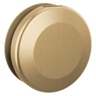 Delta SteamScape Classic Round Steam Head SteamScape™ Classic System - image 10