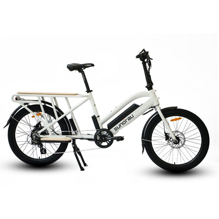 EUNORAU E-BIKE US MAX-CARGO 2.0 — additional view 9