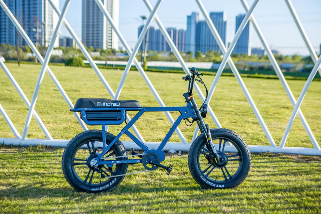 EUNORAU E-BIKE US FLASH 2.0 — handlebar and display