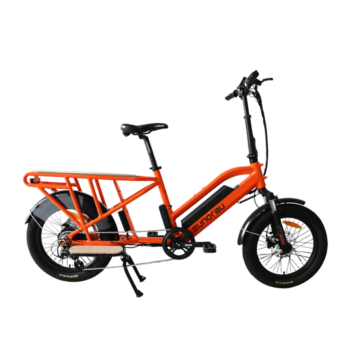 EUNORAU E-BIKE US G30-CARGO 2.0 — additional view 9