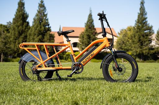 EUNORAU E-BIKE US G30-CARGO 2.0 — handlebar and display