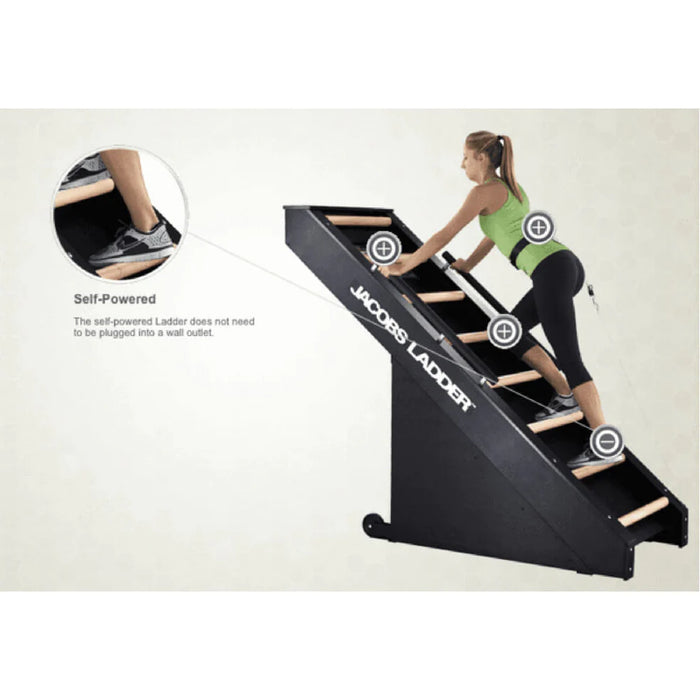 Jacobs Ladder Continuous Cardio Exercise Machine (JL)