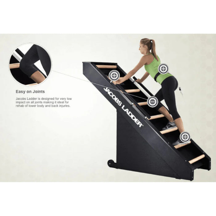 Jacobs Ladder Continuous Cardio Exercise Machine (JL)