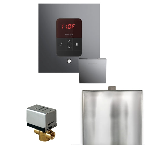 Mr.Steam Basic Butler Control Pkg Basic Butler Steam Shower Control - image 16