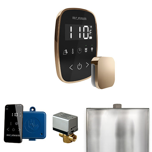 Mr.Steam ButlerFlex Control Pkg ButlerFlex Steam Shower Control - image 9