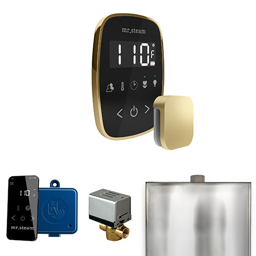 Mr.Steam ButlerFlex Control Pkg ButlerFlex Steam Shower Control - image 11