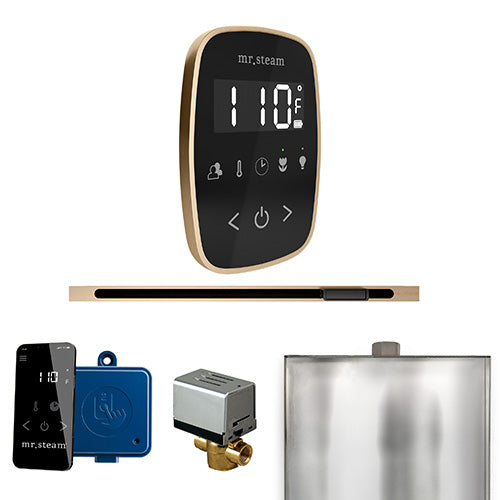 Mr.Steam ButlerFlex Linear Control Pkg ButlerFlex Steam Shower - image 2