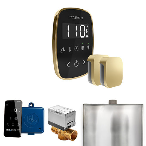 Mr.Steam ButlerFlex Max Control Pkg ButlerFlex Steam Shower Control - image 11