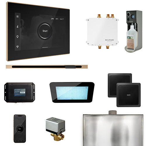 Mr.Steam Bliss Linear Control Pkg Bliss Steam Shower Control Package - image 2