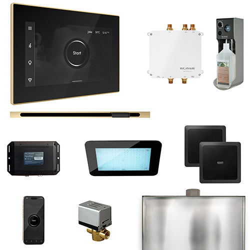Mr.Steam Bliss Linear Control Pkg Bliss Steam Shower Control Package - image 8
