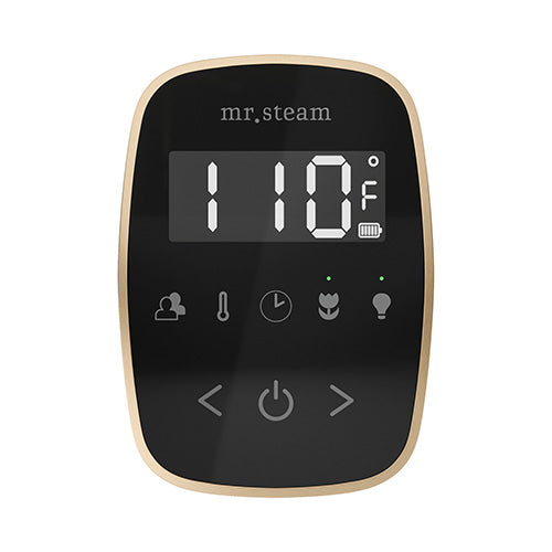 Mr.Steam TempoFlex TempoFlex Steam Shower Control w/ Aroma SteamHead - image 5