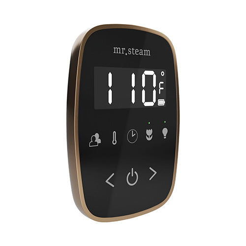 Mr.Steam TempoFlex TempoFlex Steam Shower Control w/ Aroma SteamHead - image 18