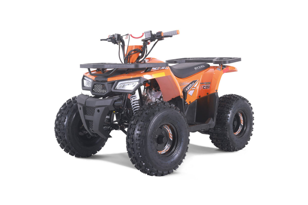 Tao Motor Mudhawk 10, Youth 120cc ATV, Automatic with Reverse, Digital Dash, Parental Controls, LED Headlights, Electric Start