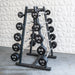 Muscle D Pro Urethane Barbell Set 20–110 lb – Straight or Curl Commercial Fixed Barbells
