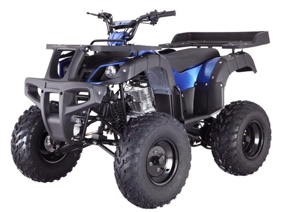 Tao Motor Rhino 250, 197cc, Full Size Utility Quad 2-Wheel Drive, Manual 4 Speed with reverse, Throttle Limiter