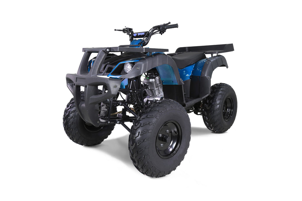Tao Motor RHINO250 RHINO250_3Q_blue