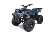 Tao Motor RHINO250 RHINO250_3Q_blue