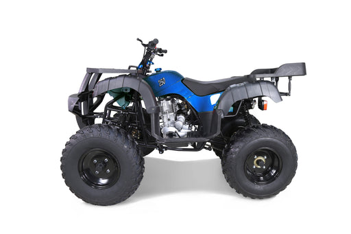 Tao Motor RHINO250 RHINO250_profile_blue