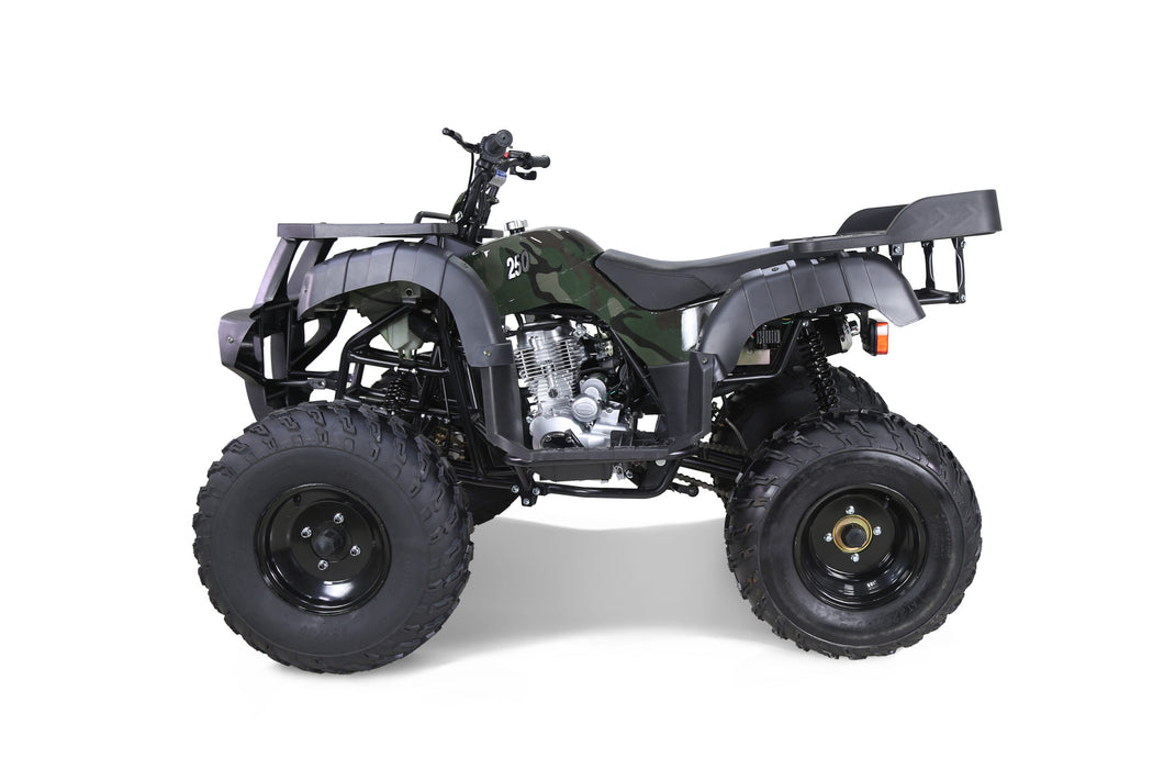 Tao Motor RHINO250 RHINO250_profile_camo2