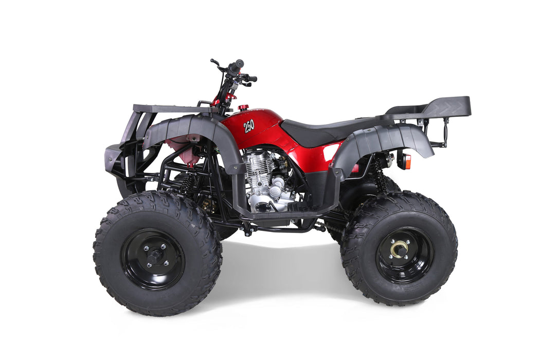 Tao Motor RHINO250 RHINO250_profile_red