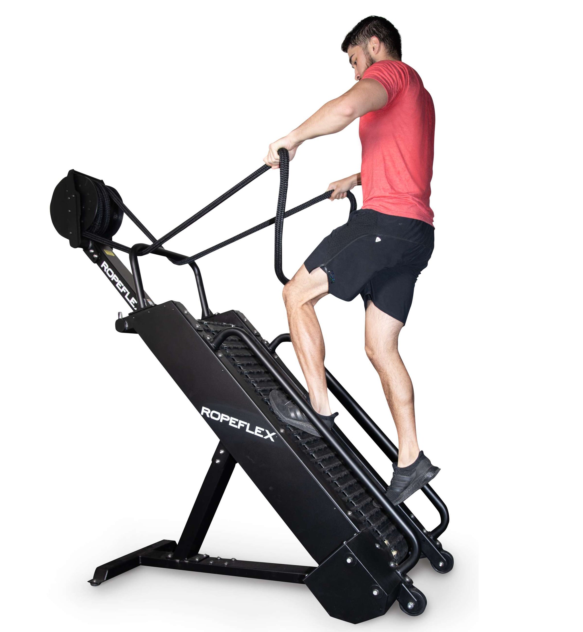 Bicep/Tricep Machines — Peak Flow Fitness