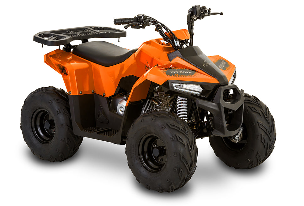 Tao Motor Mudhawk 6 110cc Kids ATV Age 6+ — back view