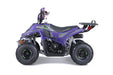 Tao Motor Rock110 Rock_driverside_purple