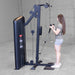 Body Solid Series 2 Biceps and Triceps S2BTPX back view