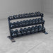 Body Solid Pro Clubline Dumbbell Rack SRD200 detail view 4