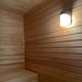 Steam Sauna Living SSL-A146 Diablo Sauna Light, Wall Mount, 120VAC - image 2