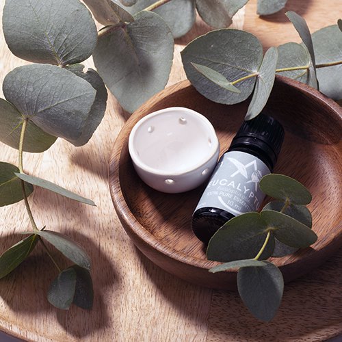 Saunum Aroma Oil Set Eucalyptus Aroma Oil with Reservoir, 10 mL - image 2