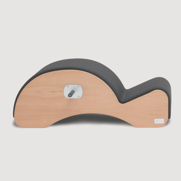 Basi Systems Spine Corrector