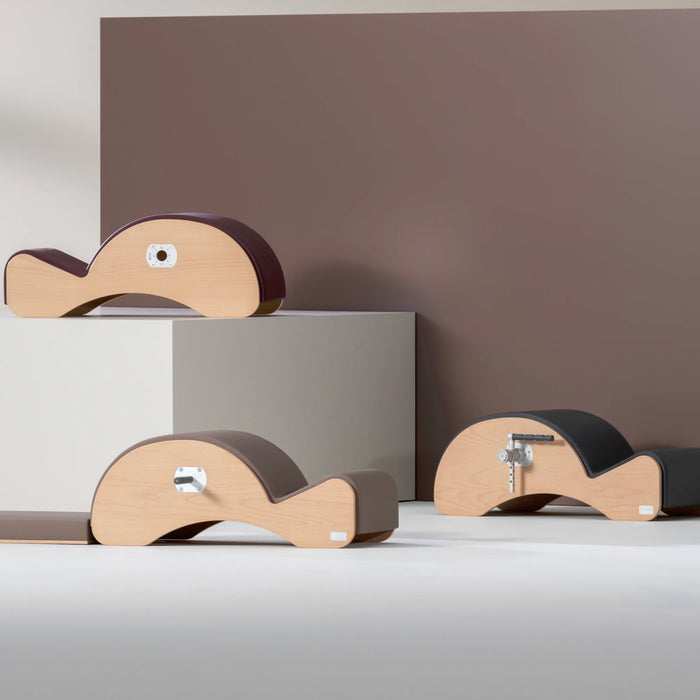 Basi Systems Spine Corrector with F2