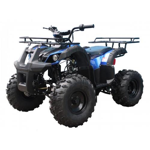 Tao Motor T125 T125-TFORCE