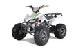Tao Motor Cheetah Platinum TAOMotors_CHEETAH_Platinum_driverside3Q_white_gray
