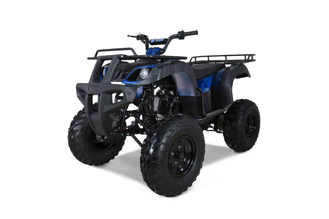 Tao Motor BULL150 TAO_Motors_Bull150_3Q_blue